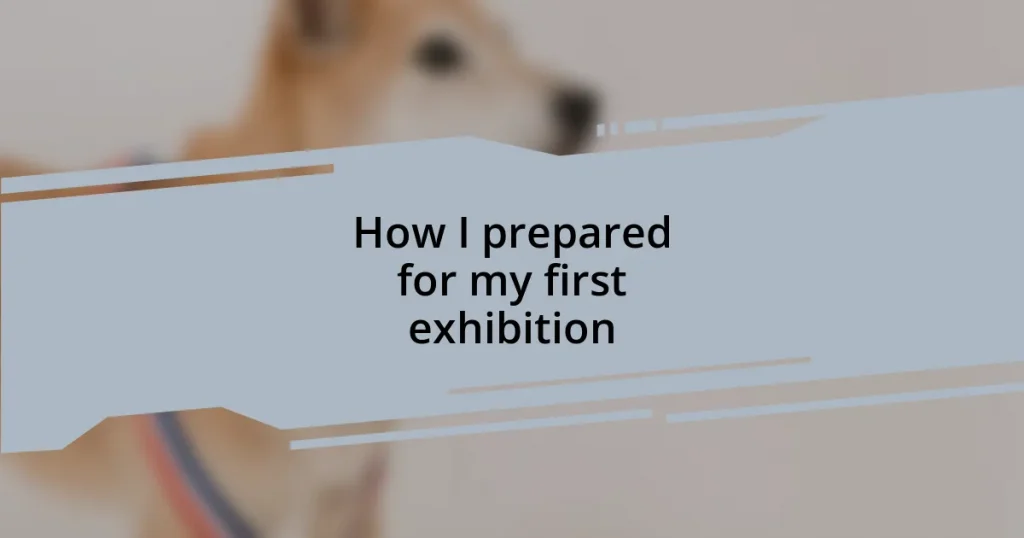 How I prepared for my first exhibition