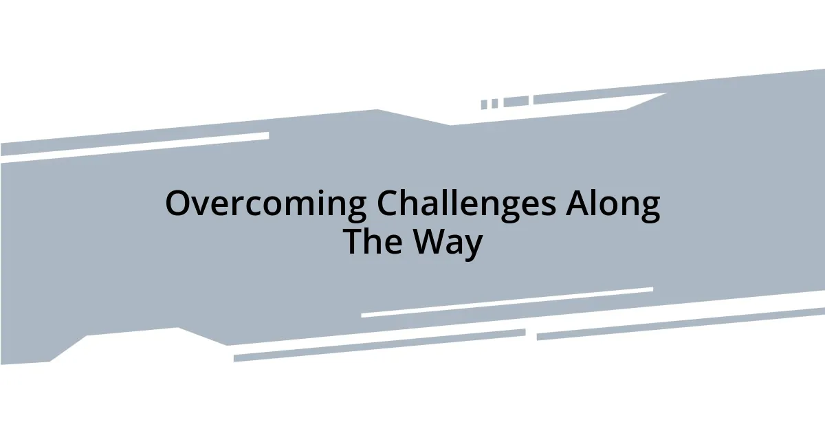 Overcoming Challenges Along The Way