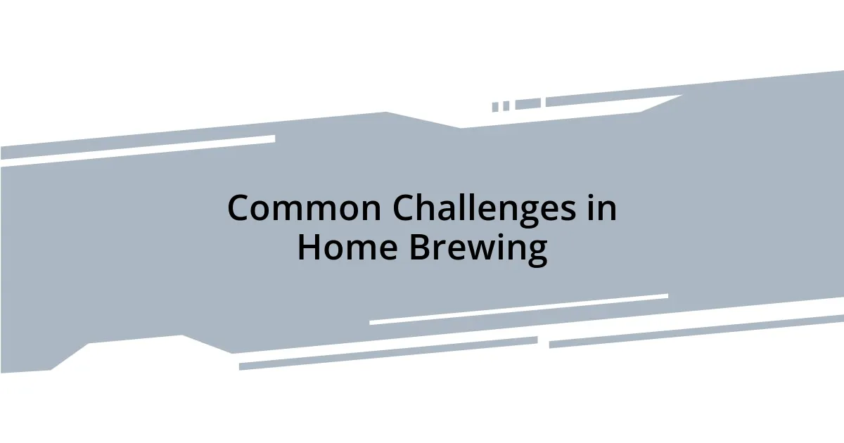 Common Challenges in Home Brewing