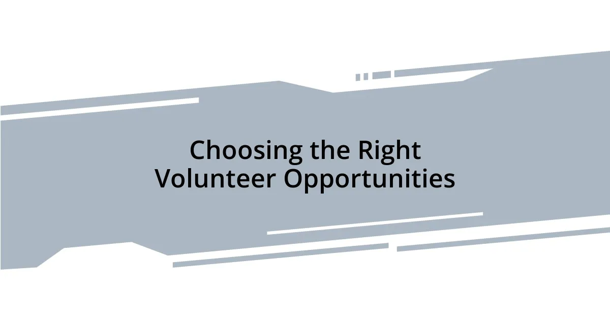 Choosing the Right Volunteer Opportunities